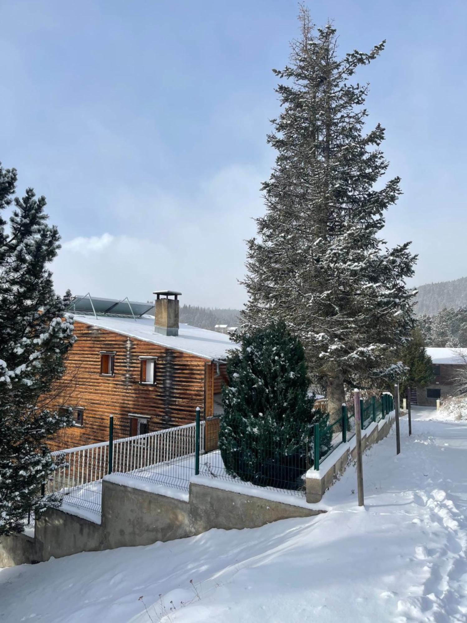 Chalet Isard Pyrenees 2000 - 300M Des Pistes Bolquere Экстерьер фото